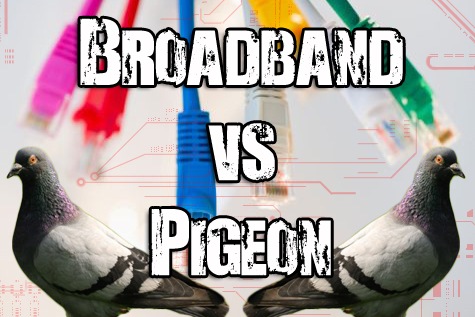 [broadband vs pigeon[4].jpg]