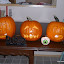 Three carved pumpkins- vampire pumpkin, bearnie, scardy pumpkin