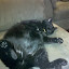 2010-05-27 16.19.05.jpg
