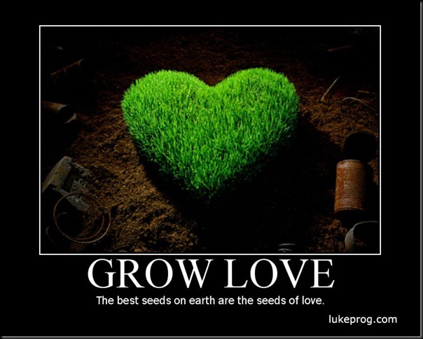 12-Grow Love