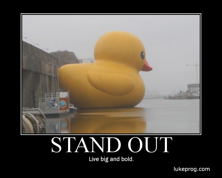 [56-Stand Out[5].jpg]