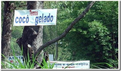 placa4
