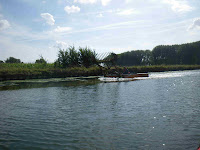 IMGP0564.JPG Photo