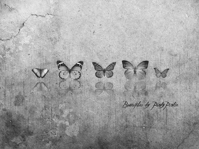 [Butterflies_black_n___white_by_PinkyPinkee[8].jpg]