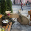 DSC09847.JPG