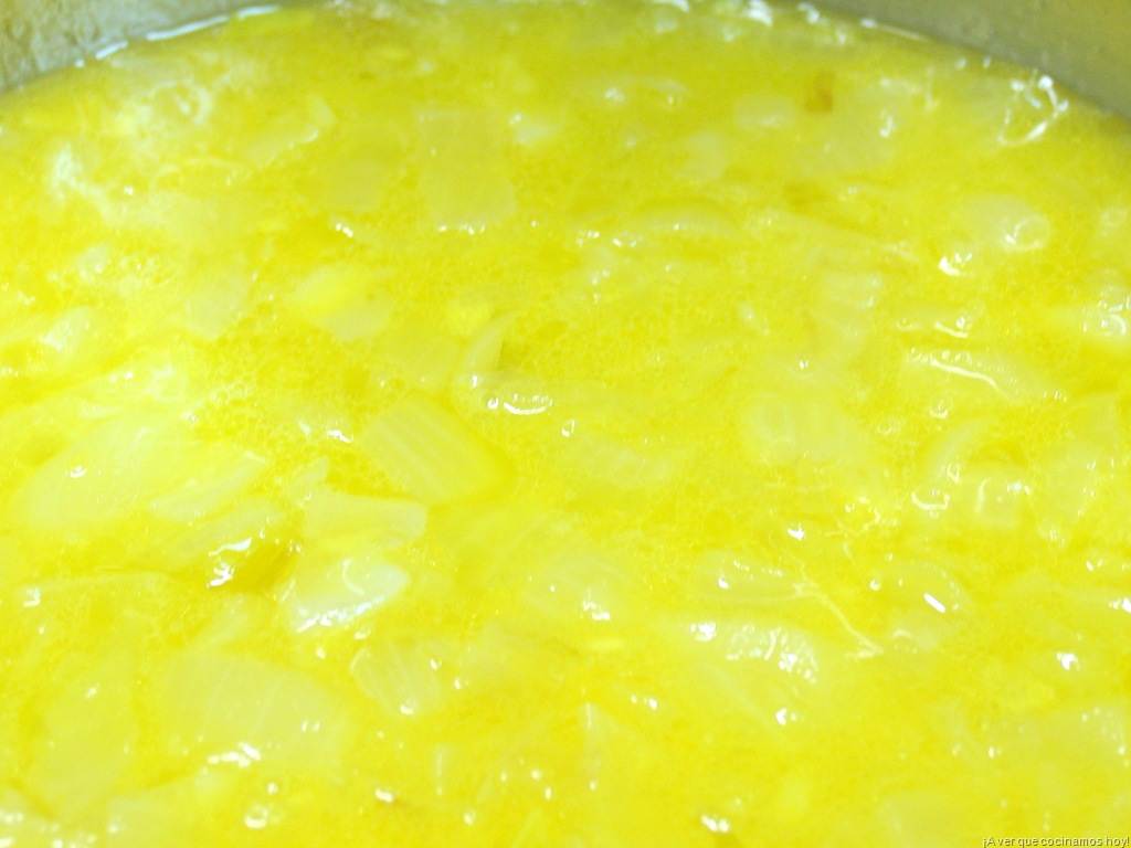 [Cebolla y Zumo de Naranja 2[3].jpg]