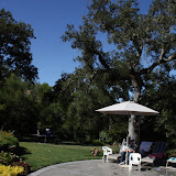 IMG_9079.JPG
