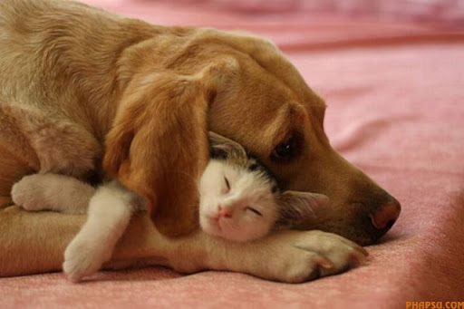 cute_moments_of_640_45.jpg