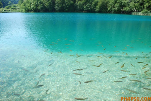 plitvice_lakes_640_15.jpg