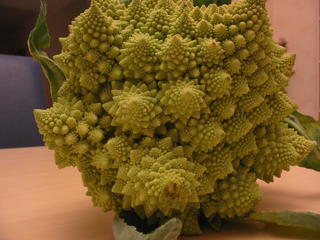 [Romanesco Broccoli[2].jpg]