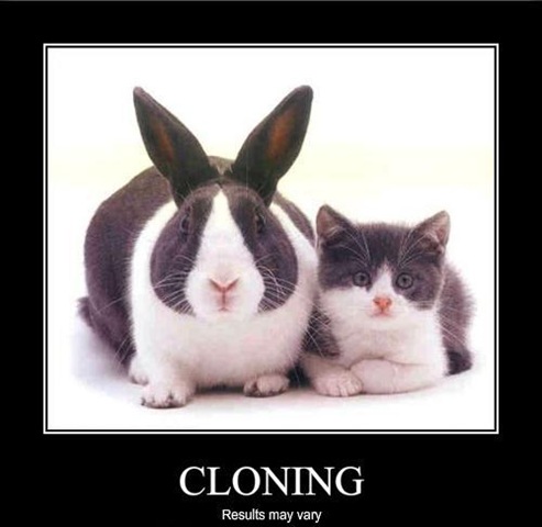 [Cloning[2].jpg]