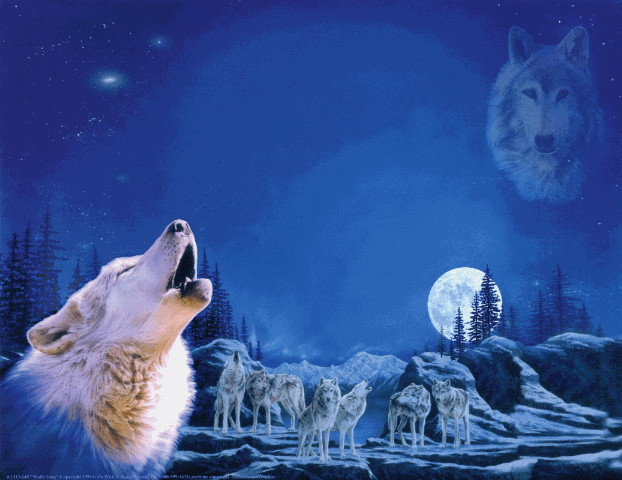 [Wolf Pack[2].gif]