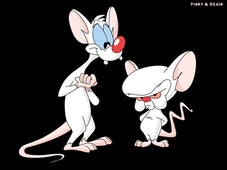 Pinky & Brain