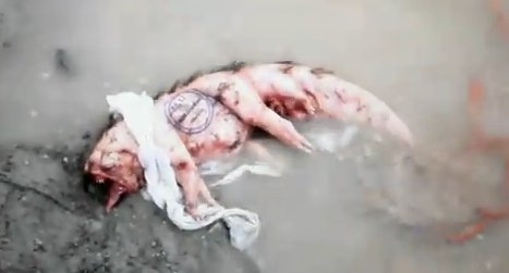 [Neil Mistery[2].jpg]