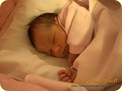IMG_1329 IMG_1329