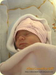 IMG_1350 IMG_1350