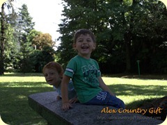 IMG_1226 IMG_1226