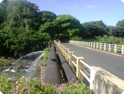 P290309_15.36