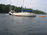 Sloop Cove
