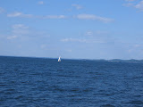 Open Water