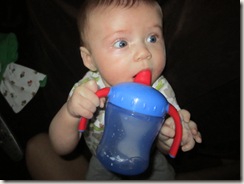 Sippy Cup 005