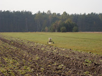 SDC15184.JPG Photo