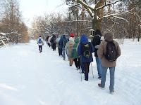 SDC15720.JPG Photo
