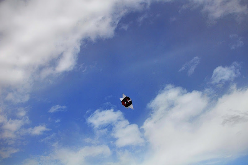 DSC_5041 DSC_5041