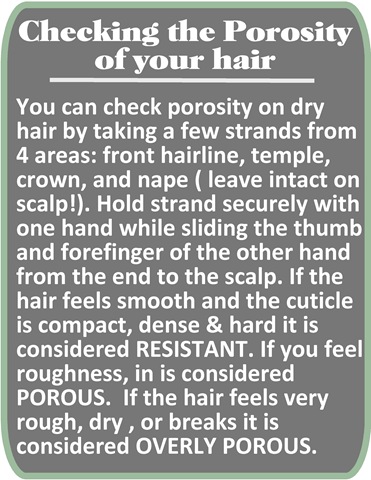 [1Porosity Post[3].jpg]