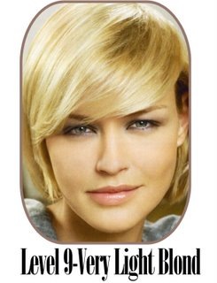 [level 9-lt blonder7[4].jpg]