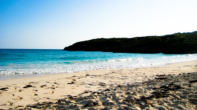[Puerto Rico 2010 110[2].jpg]