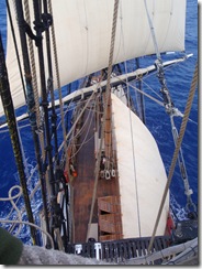 P6070059