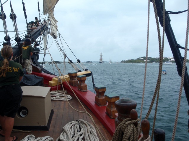 [P61500821.jpg]