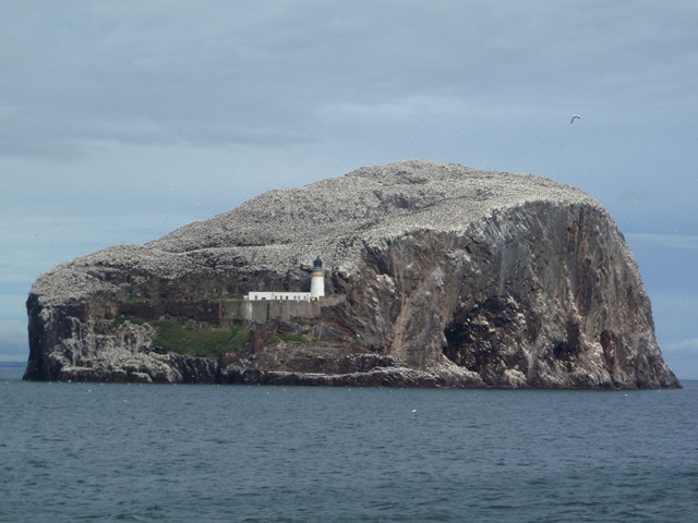 [P83100453.jpg]