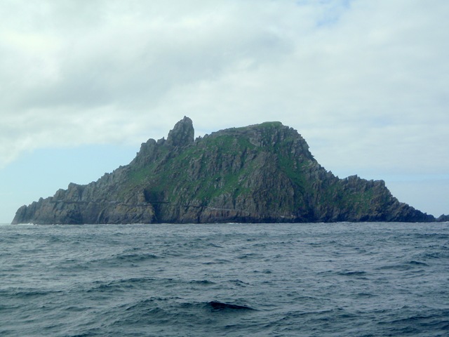 [P92200873.jpg]
