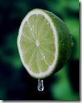1097373_lime_water_droplet