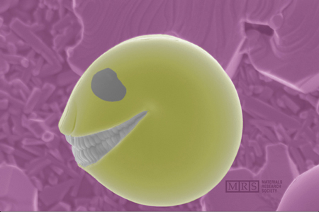 [صورة: FirstPlace_SciArt52ElisabettaComini.jpg]