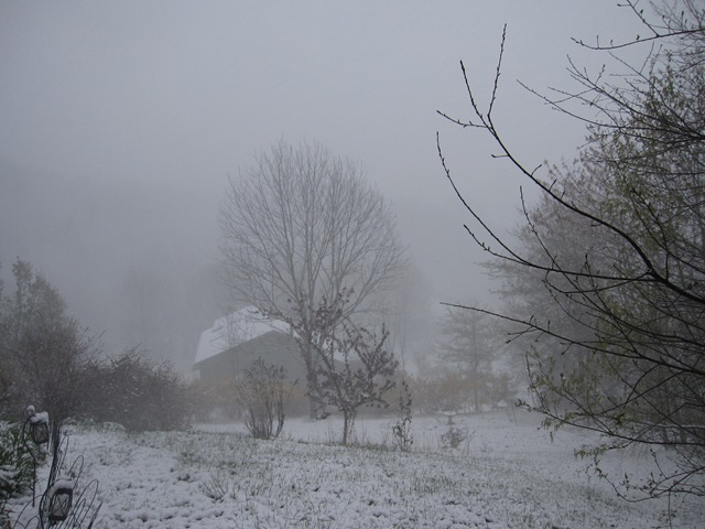 [AprilSno_040709 003[3].jpg]
