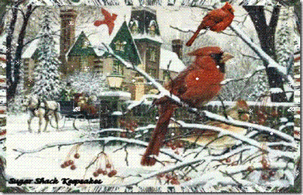 sskcardinalsinwintertime22