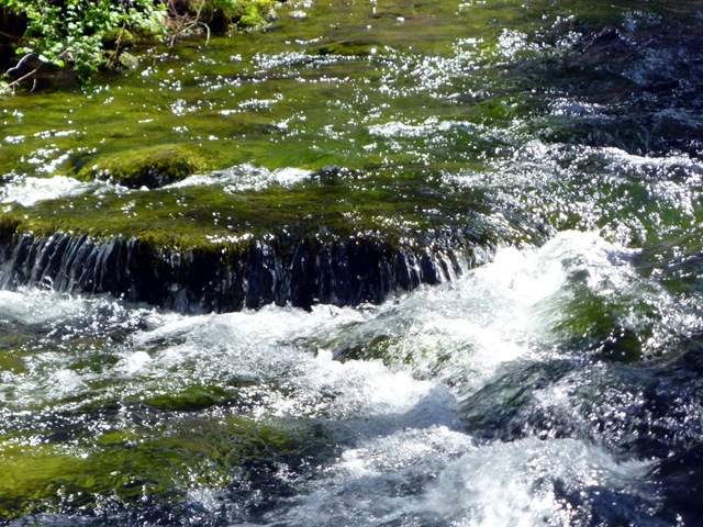 [P10208183.jpg]
