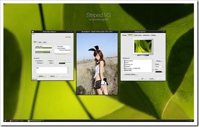 Striped-windows-xp-theme