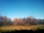 2009-10-25 12.54.23.jpg