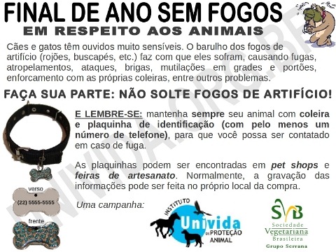 [Final_Ano_Fogos_Plaq_480[3].jpg]