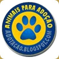 [adotacao_thumb[1][2].jpg]
