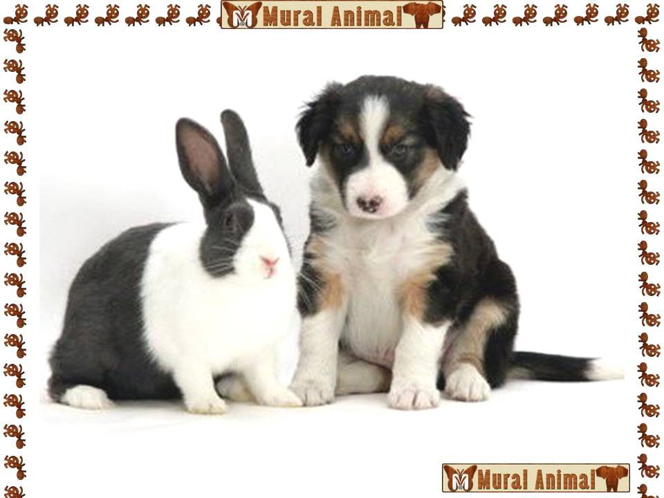 [ma_pascoa (5)[3].jpg]