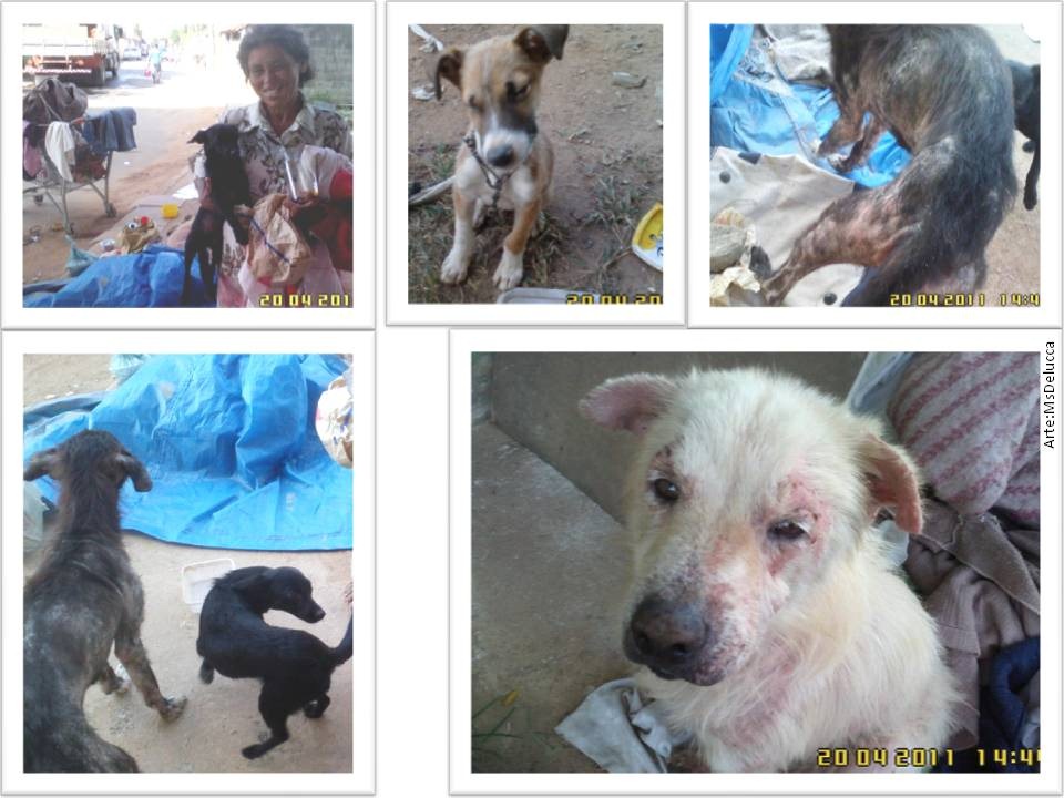 [abeac_resgate7 (2)[2].jpg]