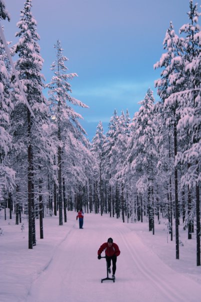 Hivernal Kickspark2