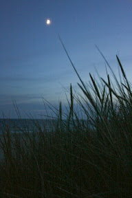 IMG_0889.jpg