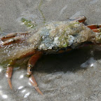 IMG_0925.jpg