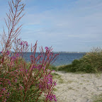 hach